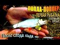 ПОПЛА-ПОППЕР - первая весенняя рыбалка! Ловля краснопёрки, плотвы, язя в начале апреля!