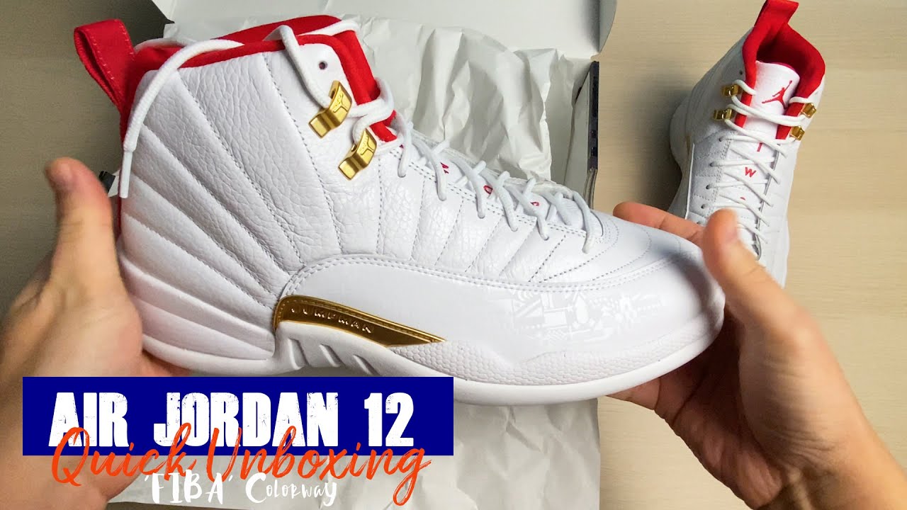 Air Jordan 12 Retro \