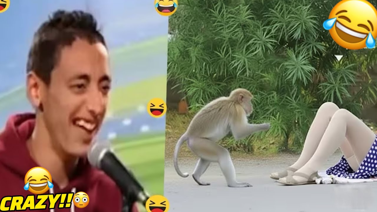 Try Not To Laugh Challenge 😂 ▶️ LEVEL 17 | Instant Regret Fails Compilation 2025