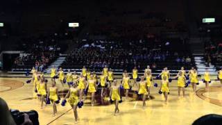 Diamond Line 2014 Pom at Texas State Showmakers competition