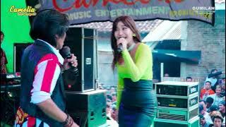 Download lagu CAMELIA - PANTUN JANDA EVIS RENATA - WEDDING KOKO & AISA TUBANAN SEKUPING KEMBANG JEPARA
