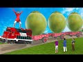 ट्रैक्टर ट्रेन विशाल नारियल Tractor Train Funny Comedy Video Hindi Kahaniya 3D Animated Stories