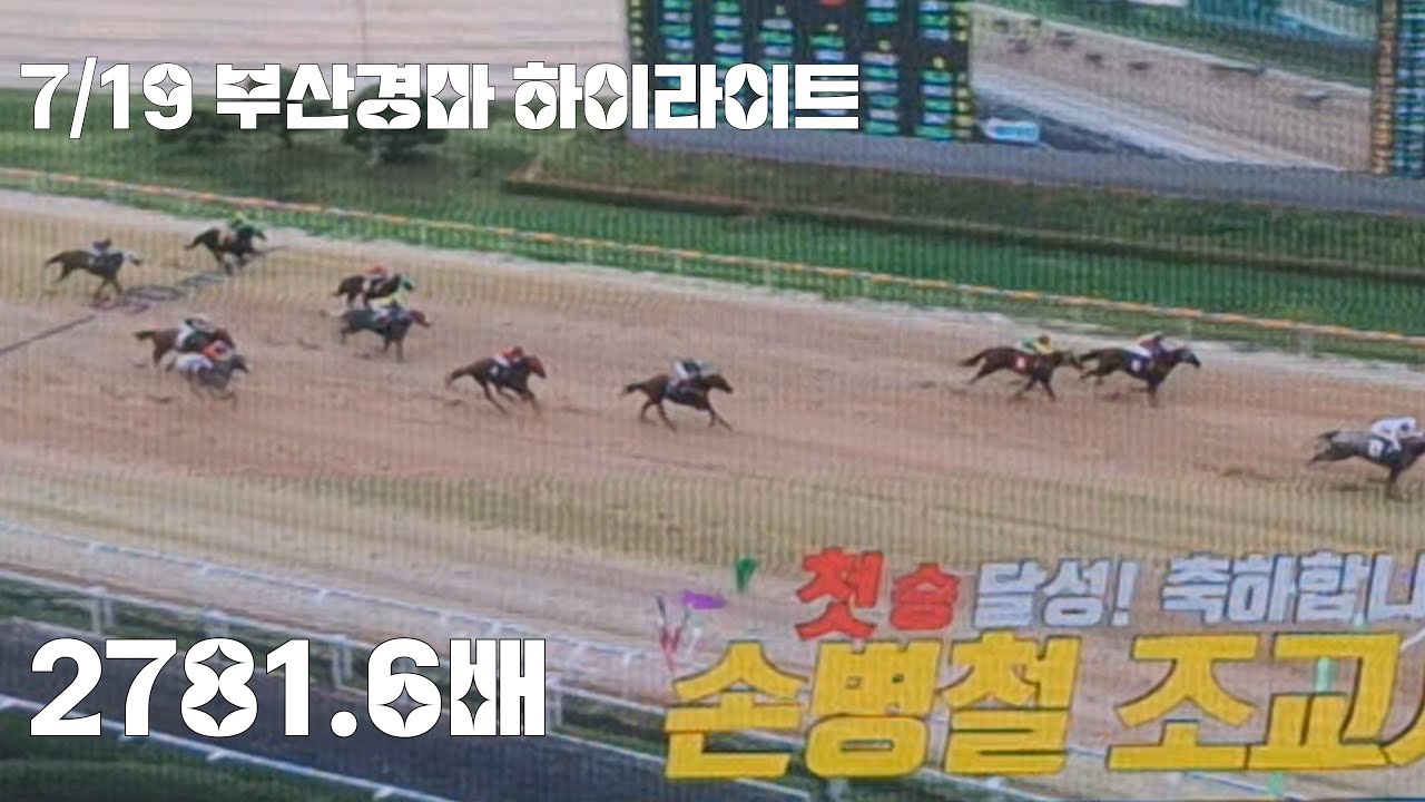 노친배당은 역쉬크다!(부산경마 하이라이트)