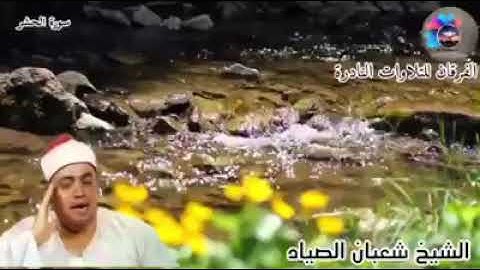 الشيخ  شعبان عبدالعزيز الصياد سورة الحشر