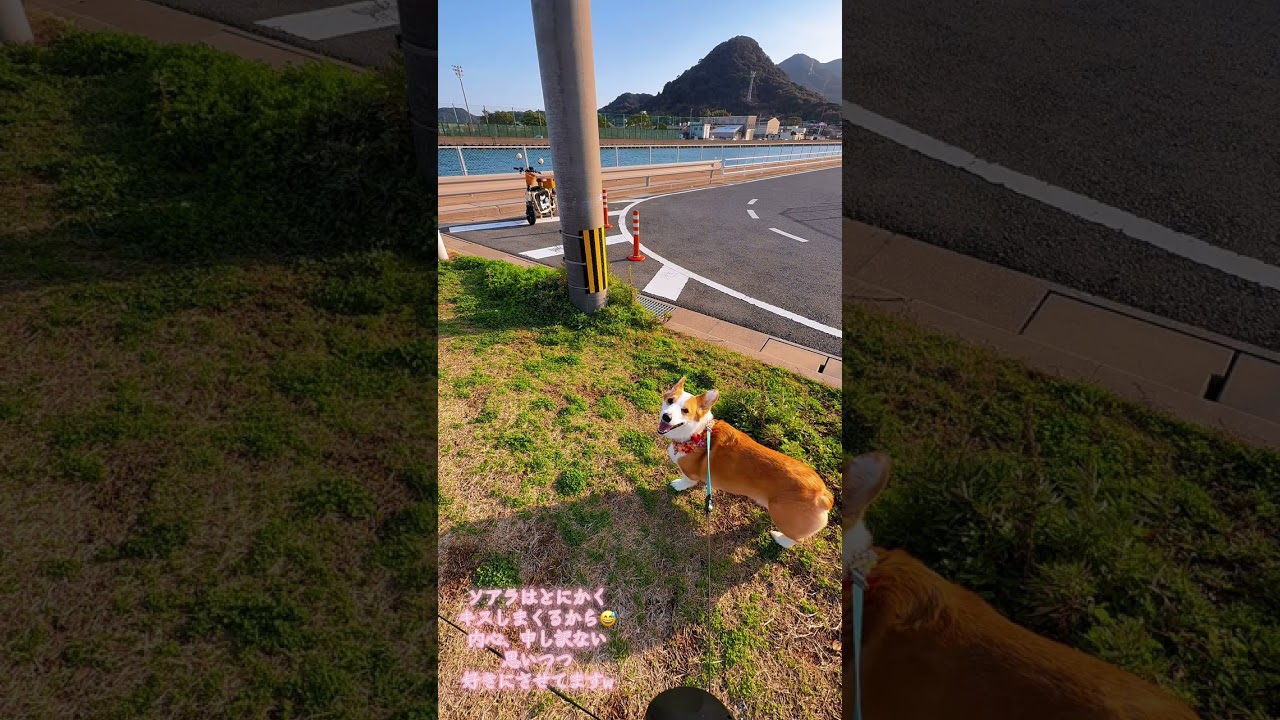 また会えたね💕︎お姉ちゃんたちにInstagramフォローしてもらえて嬉しい