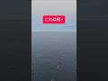 ガチで謎の生物