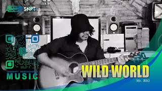 Mr.Big - Wild World (ACOUSTIC COVER) chords