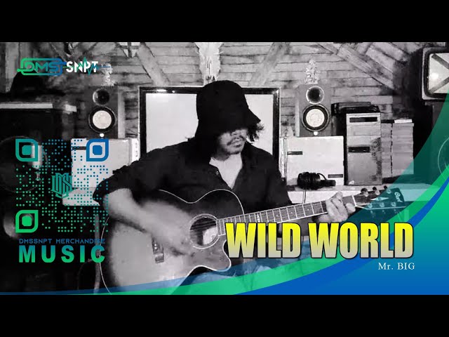 Mr.Big - Wild World (ACOUSTIC COVER) class=