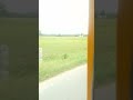 Route Correct ahh? #exploring #trendingshorts #travel #youtubeshorts