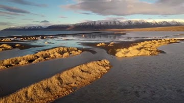 ابداع الشيخ المنشاوي في تلاوة قوله تعالى :(و وضع الكتاب فترى المجرمين مشفقين مما فيه) ❤🌼