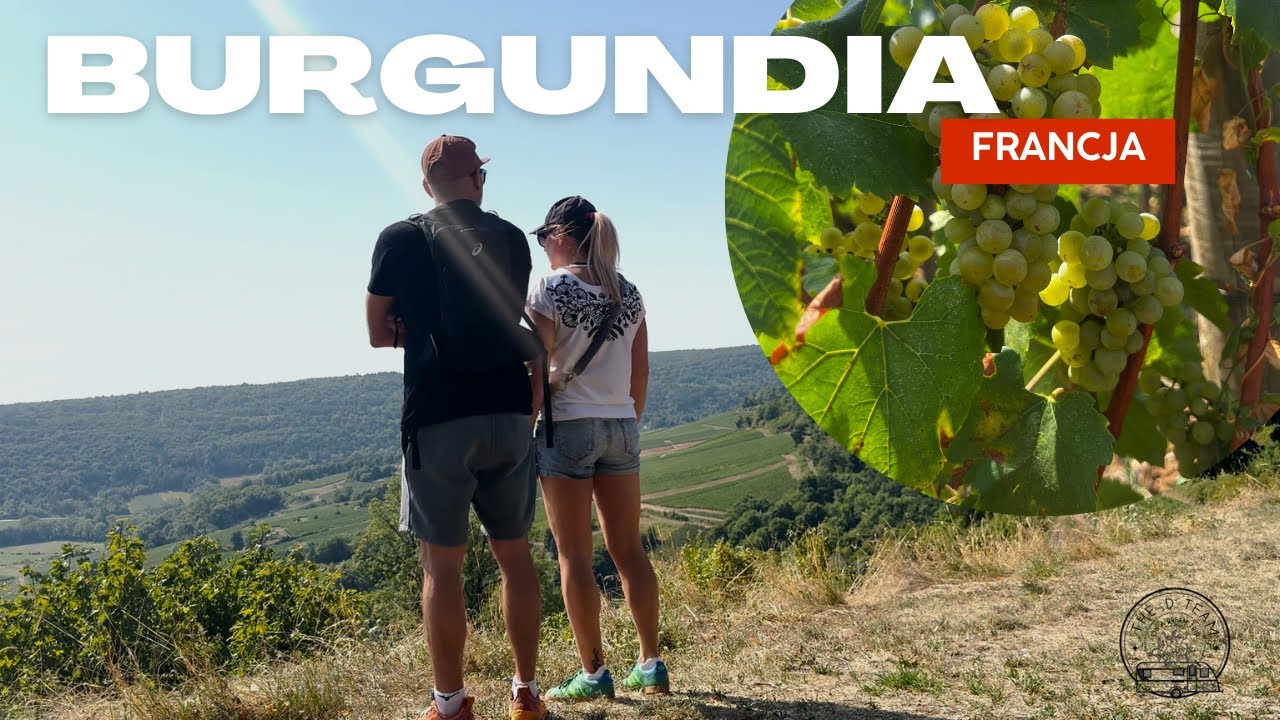 Burgundia Francja. Szukamy winnic.