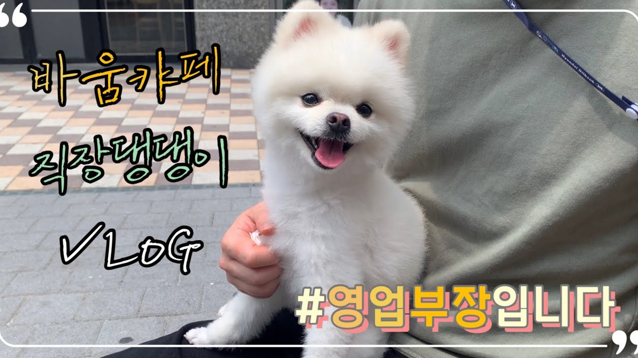 카페 댕댕이 영업부장님의 출퇴근&휴일일상