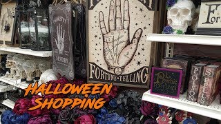 OMG! I want EVERYTHING! Halloween Shopping Michael&#39;s &amp; Big Lots Aug 2019