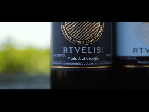 კომპანია \"რთველისის\" ვენახები წინანდალში. კარტლისი. 16.07.2020