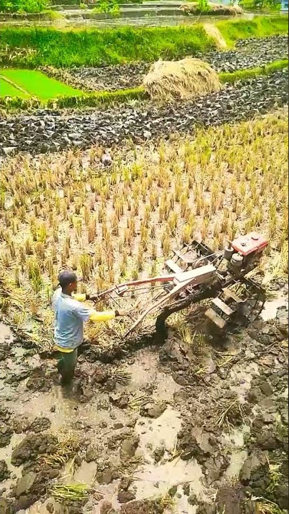 SAWAH LADANG MAKIN SEMPIT,TENAGA MANUSIA BANYAK DIGANTI MESIN