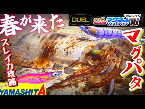エギング パタパタ　エギ王　エギ　3.5 14本セット　春イカ Amazon.co.jp: エギ王 新色3.5号 3点セット 10周年 エギ3.5号