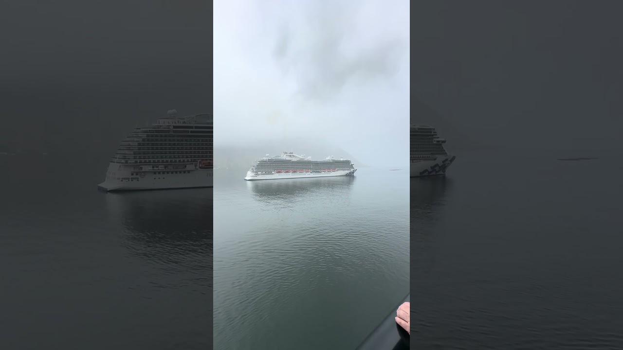 My horn’s better than your horn! #cruiseship #cruise #travel #cruising