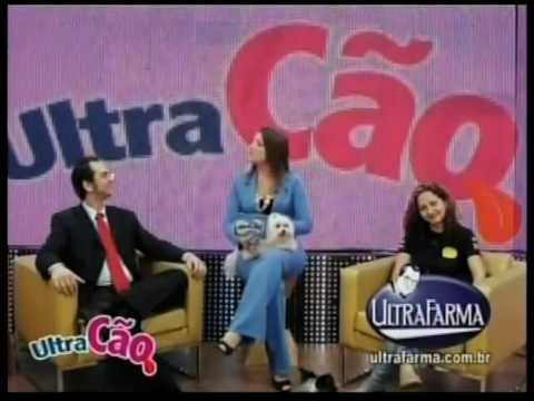 emotional abuse Programa Ultra Cão - Os benefícios que os cães trazem aos idosos.