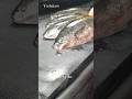 ⚠️45秒でわかる‼️【タカベ〜食べ方によって捌き方も変わる編〜】丁寧に愛を持って捌くことは美味しさに比例する💥#japan #shorts #howto
