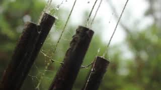 10 Hours of Rainfall and Bamboo Wind Chime Noises - Sleep Sounds