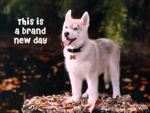 Brand New Day (Tim Myers Ft Lindsey Ray) with Cute Lyrics