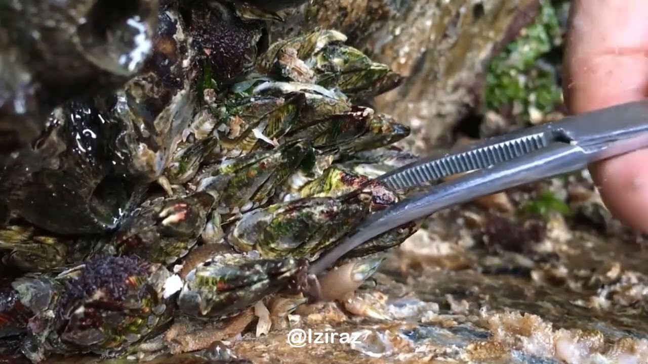 You Know What Is This Episode 804