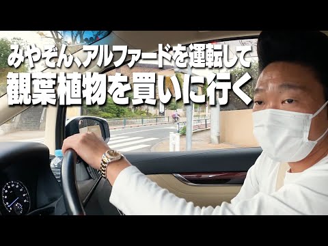 みやぞん、アルファードを運転して観葉植物を買いに行く