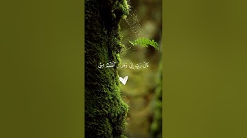 كهيعص ذكر رحمة ربك عبده زكريا | سورة مريم