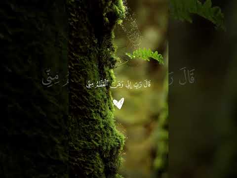 كهيعص ذكر رحمة ربك عبده زكريا سورة مريم