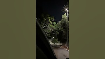 ﴿ألا تحبون ان يغفر الله لكم﴾ سورة النور للشيخ ماهر المعيقلي