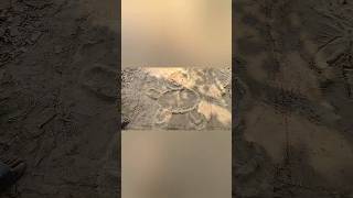Making Art with Soil