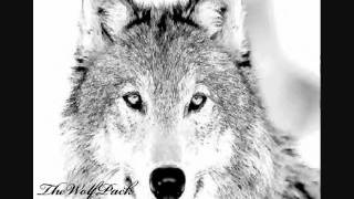 On My Wolf