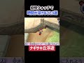 どれか1つくらいはやったことある…よね？楽しみ方3選【妖怪ウォッチ2】