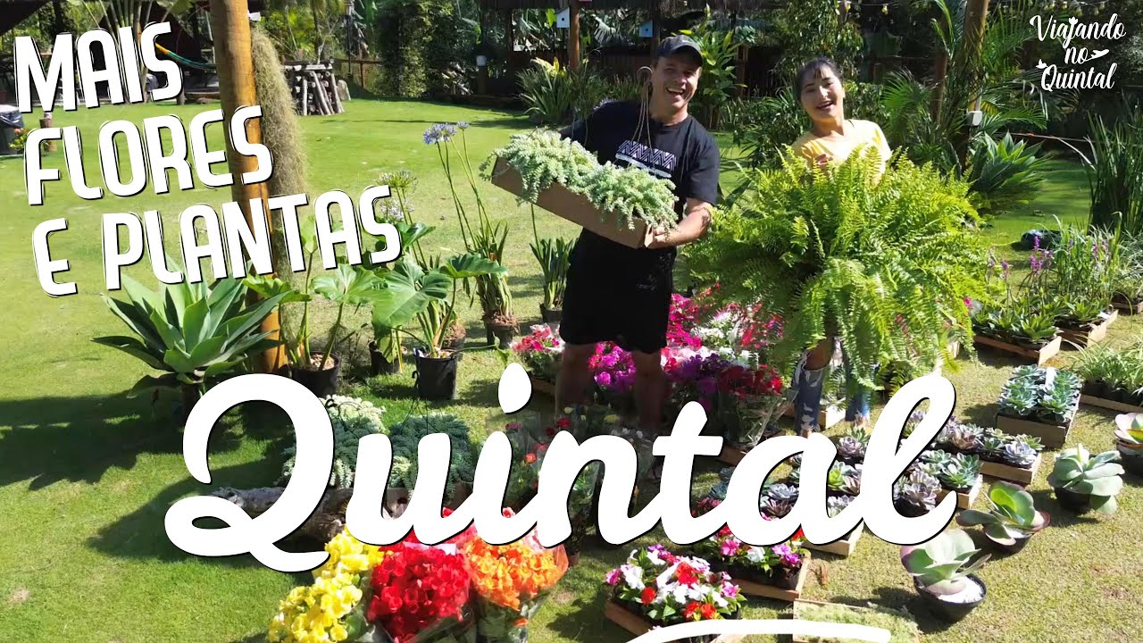 MAIS FLORES E PLANTAS NO NOSSO QUINTAL