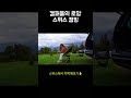 캠퍼들의 로망! 스위스캠핑🇨🇭 #shorts