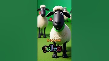 Funny Shaun the Sheep 😆🙏😆
