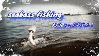 ワームでしか釣れません！コアマンのRJ-10でシーバス釣り！