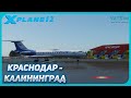 X-Plane 12 | Краснодар - Калининград | Ту-134А3 | VATSIM | Прямой Эфир №53
