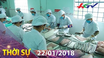 “Đặc sản cá thát lát Hậu Giang trước cơ hội mới” | THỜI SỰ HẬU GIANG - 22/01/2018