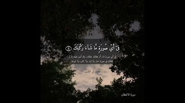 سورة الانفطار| القارئ: عبدالعزيز العبيد.
