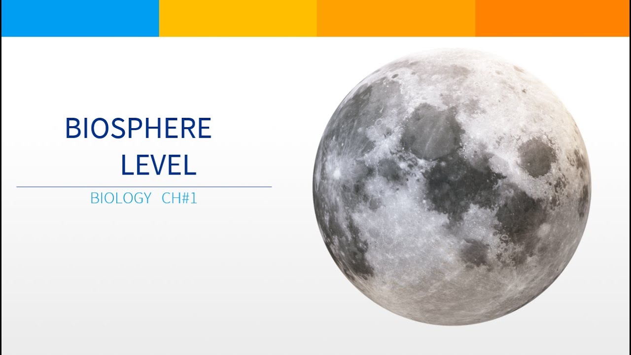 BIOSPHERE LEVEL OF ORGANIZATION . BIOLOGY 9TH CLASS YouTube