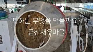 토하양식장