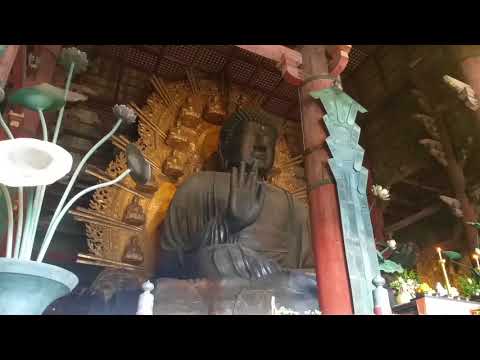 Video: Todai-ji-tempel: 'n Paar Interessante Feite