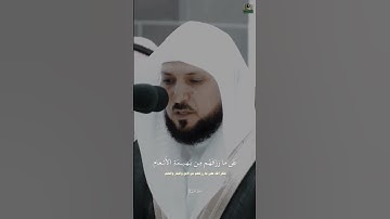 ماهر المعيقلي سورة الحج