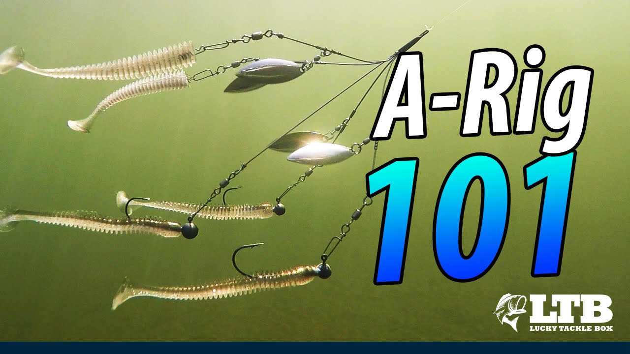 A Rig 101: Lucky Tackle Box Tips 