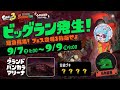【ビッグラン】乱獲 on グランドバンカラアリーナ【サーモンランNW】