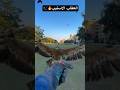 العقاب الاستيب نادي الصقار المصري اكسبلور صقر   