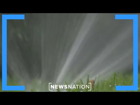 Water crisis prompts