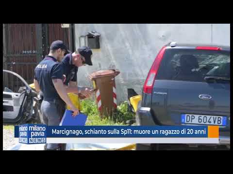 italian greyhound Marcignago, schianto sulla Sp11: muore un ragazzo di 20 anni