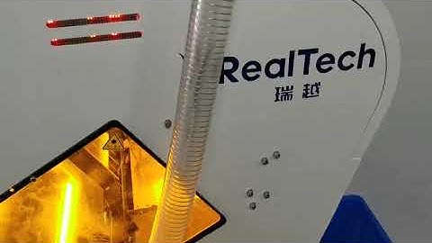 RealTech Small Paddy Color Sorter Machine